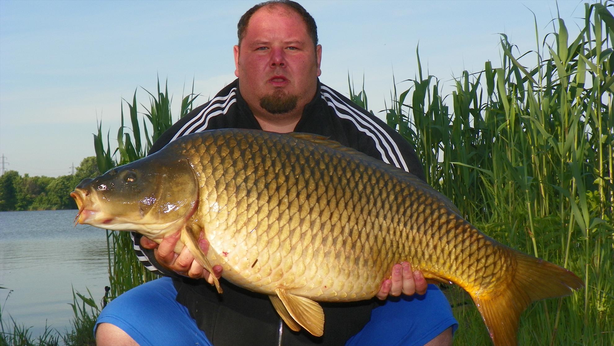 Crapmania - 2011 - 1001154.JPG